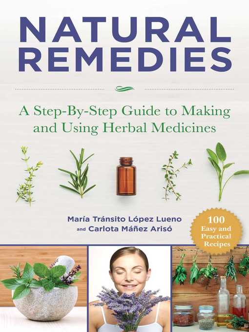 Title details for Natural Remedies by María Tránsito López Luengo - Available
